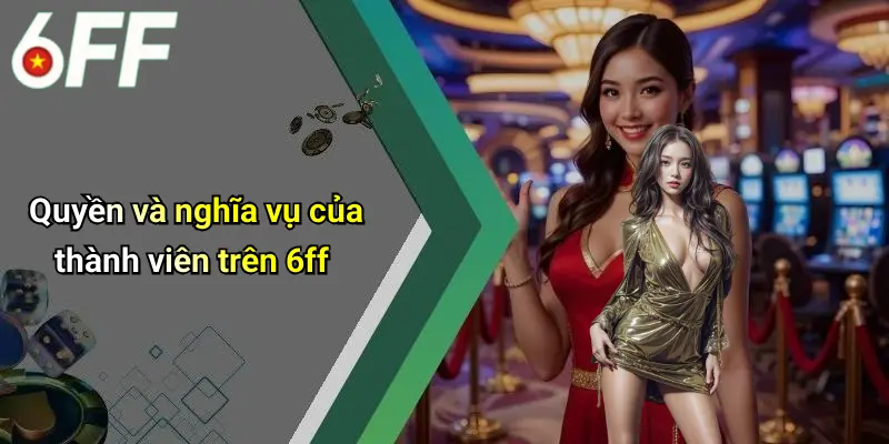 Quyền và nghĩa vụ của thành viên trên 6ff